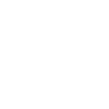 natural-disaster-icon